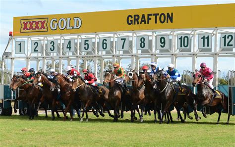 Grafton cup odds  In A Step has good early speed, and looks well placed after the 4kg weight claim coming back in grade; while 8